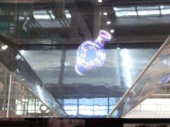 博物館360度幻影成像應用