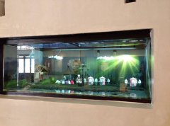 幻影成像系統(tǒng)原理及報(bào)價(jià)