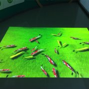 地面互動投影+游戲